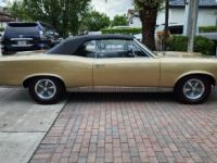 Pontiac GTO - <small></small> 77.000 € <small>TTC</small> - #6