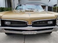 Pontiac GTO - <small></small> 77.000 € <small>TTC</small> - #7