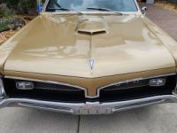 Pontiac GTO - <small></small> 77.000 € <small>TTC</small> - #8