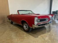 Pontiac GTO - <small></small> 92.000 € <small>TTC</small> - #11