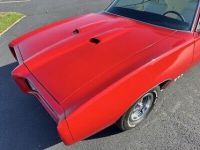 Pontiac GTO - <small></small> 46.000 € <small>TTC</small> - #7