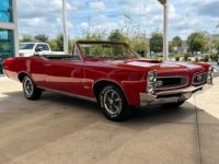 Pontiac GTO - <small></small> 73.000 € <small>TTC</small> - #3