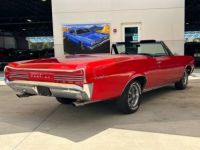 Pontiac GTO - <small></small> 73.000 € <small>TTC</small> - #5