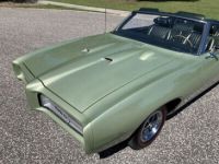 Pontiac GTO - <small></small> 89.000 € <small>TTC</small> - #14