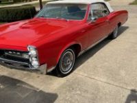 Pontiac GTO - <small></small> 53.000 € <small>TTC</small> - #15