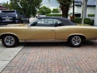 Pontiac GTO - <small></small> 80.000 € <small>TTC</small> - #5