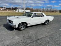 Pontiac GTO - <small></small> 46.000 € <small>TTC</small> - #10