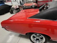 Pontiac GTO - <small></small> 97.000 € <small>TTC</small> - #8