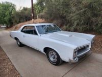 Pontiac GTO - <small></small> 57.000 € <small>TTC</small> - #5