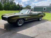 Pontiac GTO - <small></small> 76.000 € <small>TTC</small> - #2