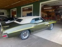 Pontiac GTO - <small></small> 76.000 € <small>TTC</small> - #8