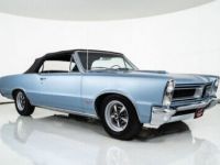 Pontiac GTO - <small></small> 80.000 € <small>TTC</small> - #15