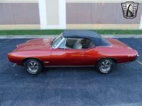 Pontiac GTO - <small></small> 75.800 € <small>TTC</small> - #5