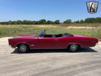 Pontiac GTO - <small></small> 70.600 € <small>TTC</small> - #4