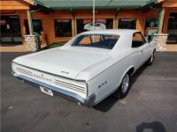 Pontiac GTO - <small></small> 63.100 € <small>TTC</small> - #19