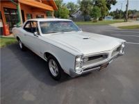 Pontiac GTO - <small></small> 63.100 € <small>TTC</small> - #32