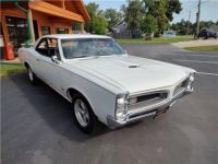 Pontiac GTO - <small></small> 63.100 € <small>TTC</small> - #33