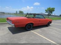 Pontiac GTO Convertible  - <small></small> 18.000 € <small>TTC</small> - #6