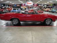 Pontiac GTO Convertible  - <small></small> 75.700 € <small>TTC</small> - #7