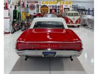 Pontiac GTO Convertible  - <small></small> 130.000 € <small>TTC</small> - #31