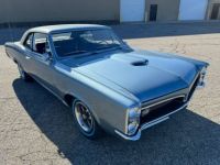 Pontiac GTO coupe  - <small></small> 50.000 € <small>TTC</small> - #3