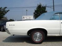 Pontiac GTO Documented  - <small></small> 80.000 € <small>TTC</small> - #14