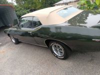 Pontiac LeMans - <small></small> 44.000 € <small>TTC</small> - #4