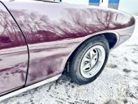 Pontiac LeMans GTO Clone  - <small></small> 31.400 € <small>TTC</small> - #14