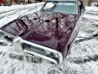 Pontiac LeMans GTO Clone  - <small></small> 31.400 € <small>TTC</small> - #20