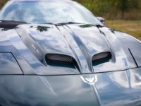 Pontiac Trans Am - <small></small> 36.000 € <small>TTC</small> - #17