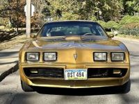 Pontiac Trans Am - <small></small> 37.000 € <small>TTC</small> - #23