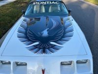 Pontiac Trans Am - <small></small> 45.000 € <small>TTC</small> - #13