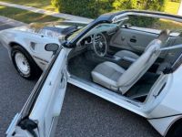 Pontiac Trans Am - <small></small> 45.000 € <small>TTC</small> - #23