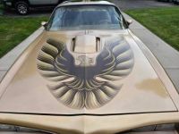 Pontiac Trans Am - <small></small> 53.000 € <small>TTC</small> - #8