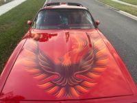 Pontiac Trans Am - <small></small> 43.000 € <small>TTC</small> - #17