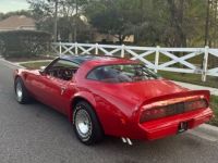 Pontiac Trans Am - <small></small> 43.000 € <small>TTC</small> - #25