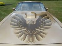 Pontiac Trans Am - <small></small> 75.000 € <small>TTC</small> - #8