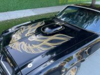 Pontiac Trans Am - <small></small> 38.000 € <small>TTC</small> - #11