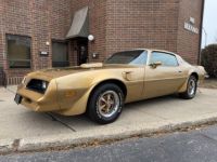 Pontiac Trans Am - <small></small> 59.800 € <small>TTC</small> - #2