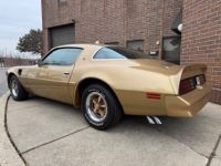 Pontiac Trans Am - <small></small> 59.800 € <small>TTC</small> - #4