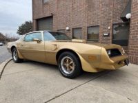 Pontiac Trans Am - <small></small> 59.800 € <small>TTC</small> - #7