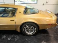 Pontiac Trans Am - <small></small> 46.400 € <small>TTC</small> - #17