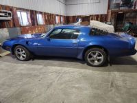 Pontiac Trans Am - <small></small> 37.700 € <small>TTC</small> - #11