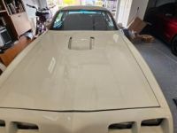 Pontiac Trans Am - <small></small> 32.900 € <small>TTC</small> - #8