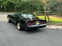 Pontiac Trans Am - <small></small> 46.800 € <small>TTC</small> - #14