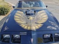 Pontiac Trans Am 6.6 V8 10 TH ANNIVERSARY - <small></small> 38.500 € <small>TTC</small> - #16