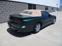 Pontiac Trans Am Convertible  - <small></small> 21.000 € <small>TTC</small> - #10