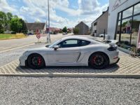 Porsche Cayman - <small></small> 131.500 € <small>TTC</small> - #2