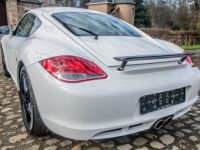 Porsche Cayman 2.9 i PDK Tiptronic 987 - HISTORIEK - AIRCO - CRUISECONTROL - EURO 5 - <small></small> 32.999 € <small>TTC</small> - #44