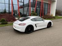 Porsche Cayman (981) 3.4 340CH GTS PDK - <small></small> 74.890 € <small>TTC</small> - #14